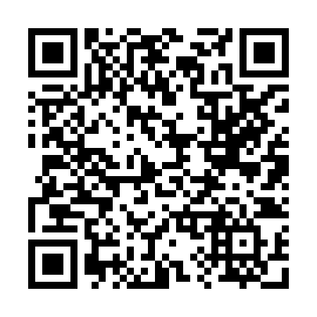 QR code for plate 29-28JV