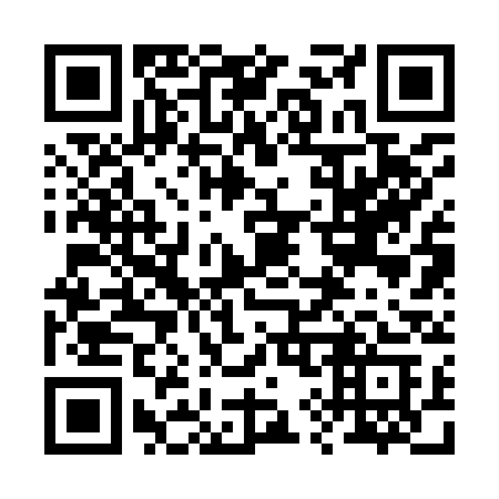 QR code for plate 29-293C