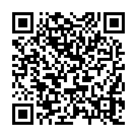 QR code for plate 29-295Z