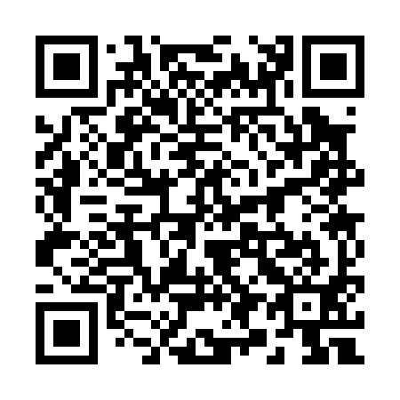 QR code for plate 29-3091