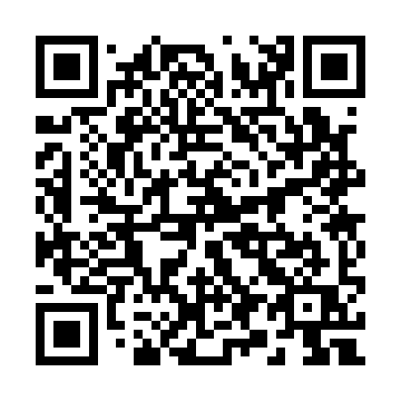 QR code for plate 29-319Q