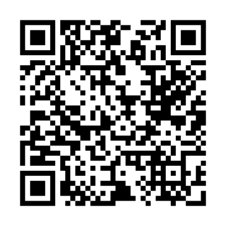 QR code for 29336Z
