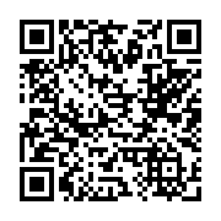 QR code for 29369Y