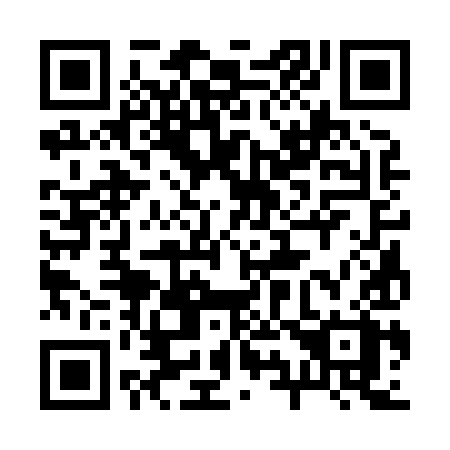 QR code for plate 29-389X