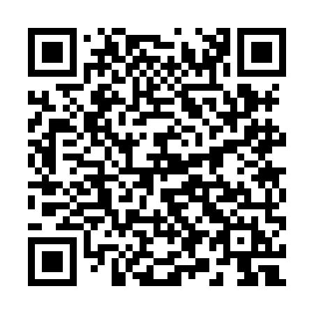 QR code for plate 29-38MH