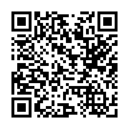 QR code for plate 29-390T