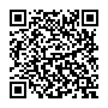 QR code for plate 29-393S