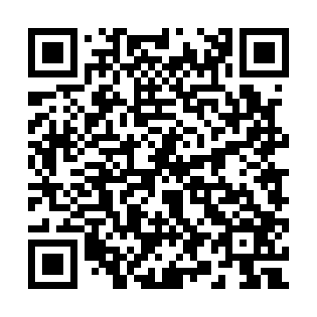 QR code for 294106