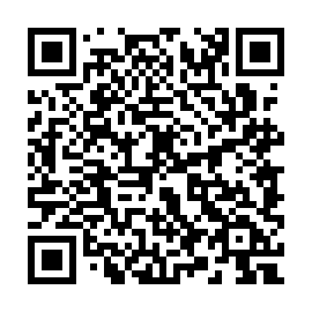 QR code for plate 29-41HD