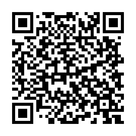 QR code for 29456N