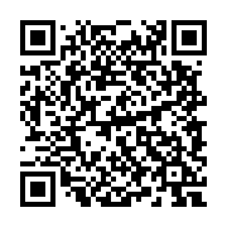 QR code for plate 29-458E