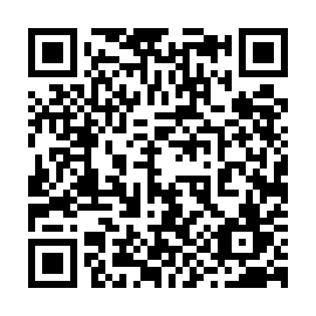 QR code for plate 29-45AV