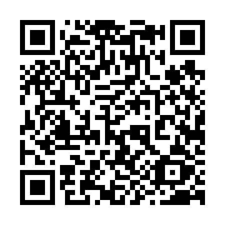QR code for plate 29-462Z
