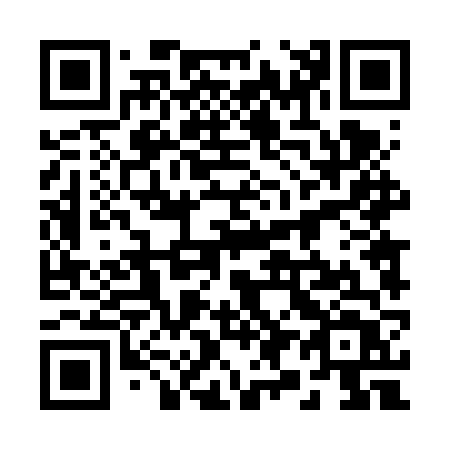 QR code for plate 29-46VT