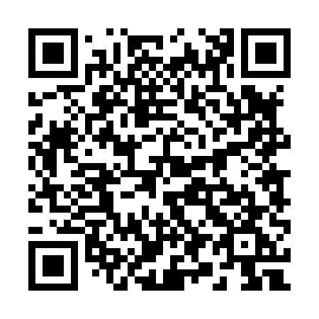 QR code for plate 29-485G