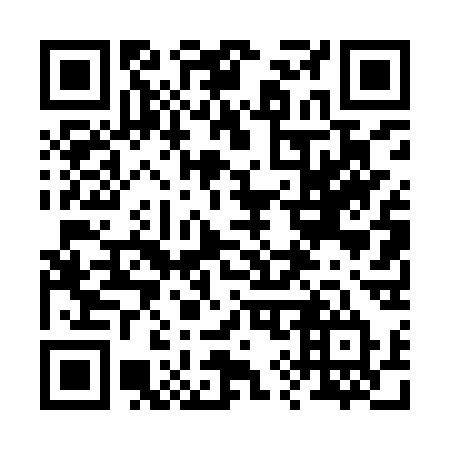QR code for plate 29-49ST