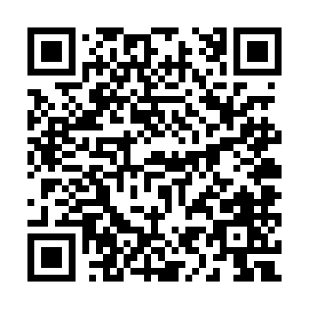QR code for 294PM