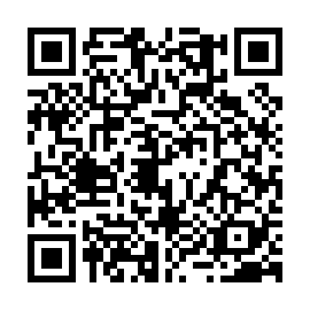 QR code for plate 29-50292