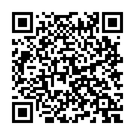 QR code for plate 29-513D