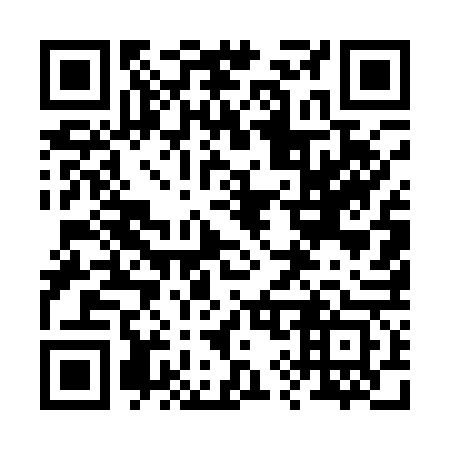 QR code for 295163