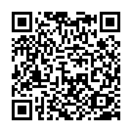 QR code for 29517Y