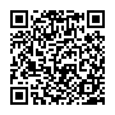 QR code for 295202
