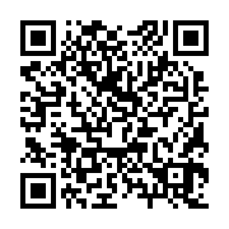 QR code for 295262