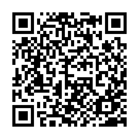 QR code for 29538T
