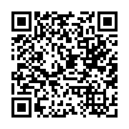 QR code for plate 29-53XX