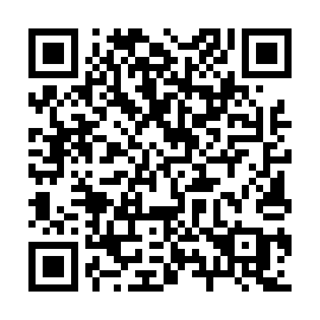 QR code for 29541A