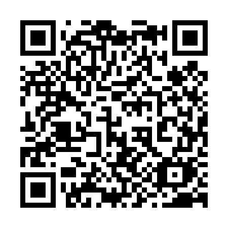 QR code for plate 29-547M