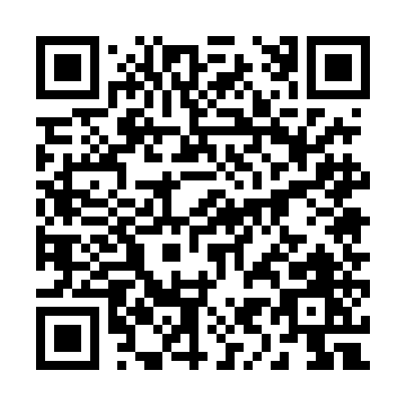QR code for plate 2-954E