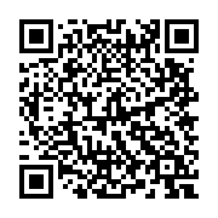 QR code for plate 29-551V