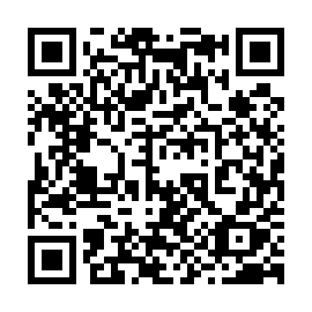 QR code for plate 29-555X