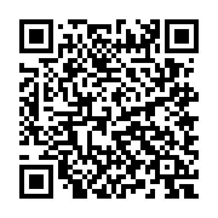 QR code for 2955HA