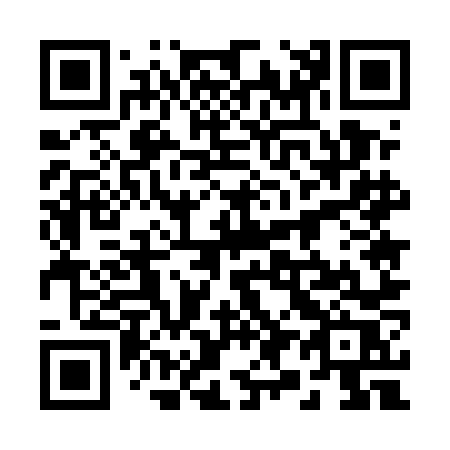 QR code for 2955NR