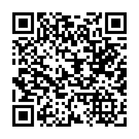 QR code for plate 29-56MG