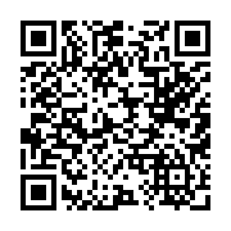 QR code for plate 29-5985
