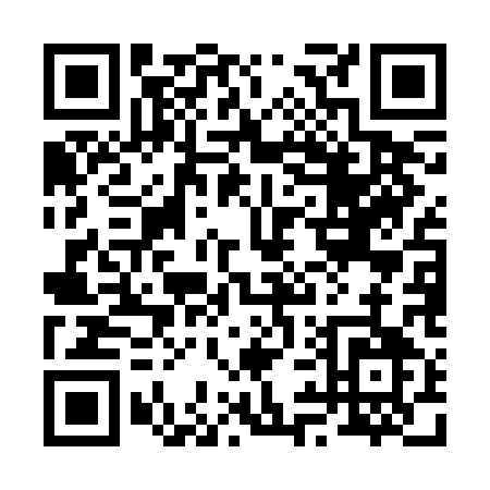 QR code for 295BA