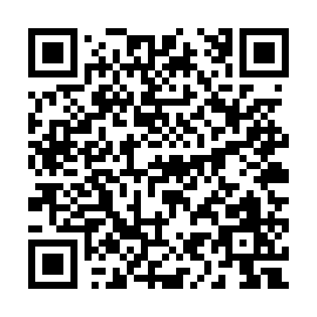 QR code for 295PQ