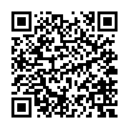 QR code for 295TM