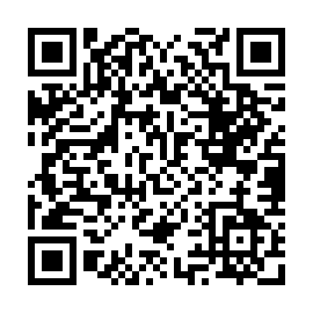 QR code for 295VG