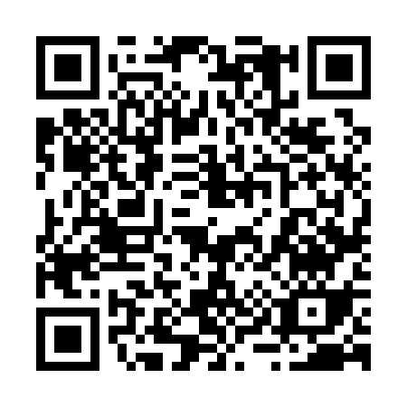 QR code for 29613