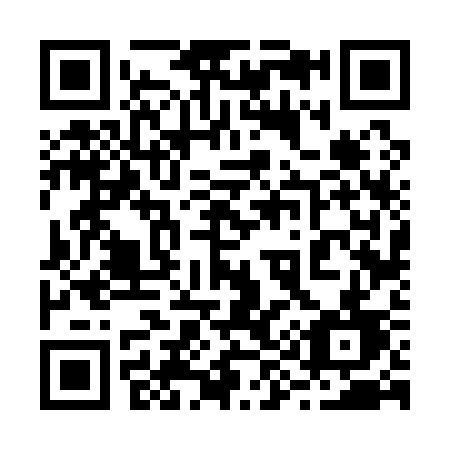 QR code for plate 29-613D