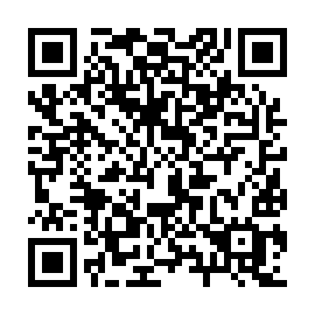 QR code for plate 29-619G