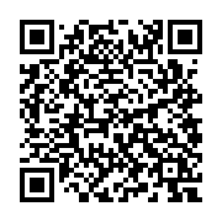 QR code for plate 29-61TX