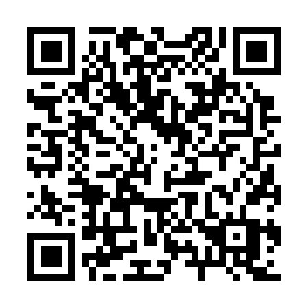 QR code for 29636T