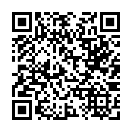 QR code for plate 29-63ZI