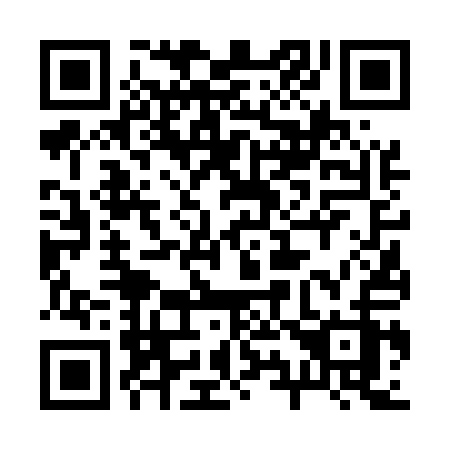 QR code for 29651Z