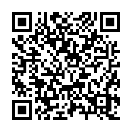 QR code for 29656Z